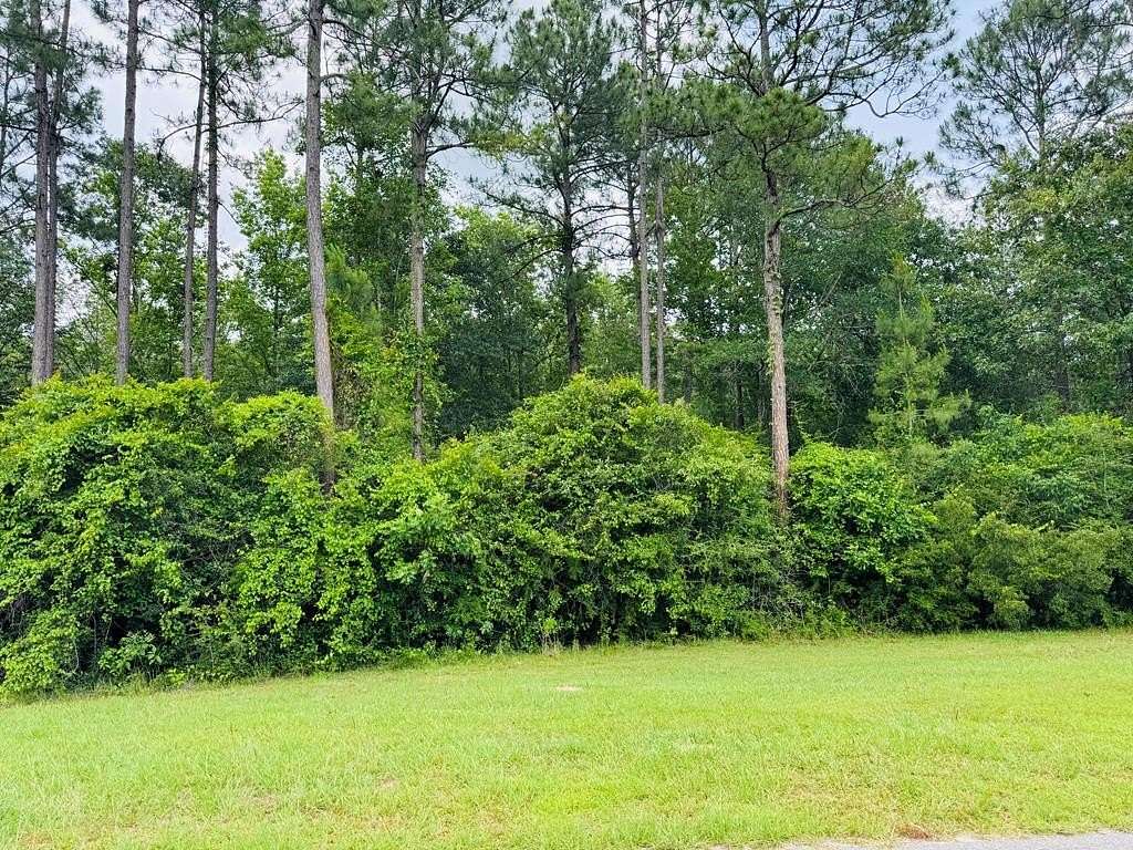 0.46 Acres of Residential Land for Sale in Carriere, Mississippi