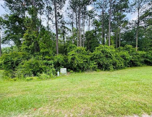 0.46 Acres of Residential Land for Sale in Carriere, Mississippi