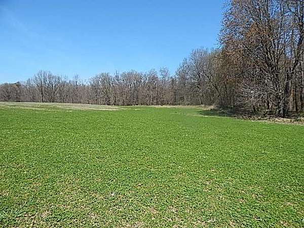 79.3 Acres of Land for Sale in Burlington, Michigan
