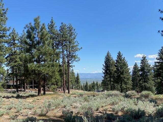 1.87 Acres of Residential Land for Sale in Carson City, Nevada