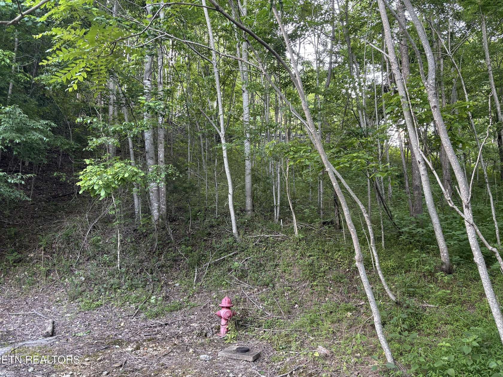 1.4 Acres of Residential Land for Sale in Smithville, Tennessee