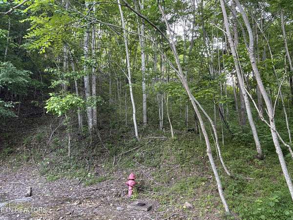 1.4 Acres of Residential Land for Sale in Smithville, Tennessee