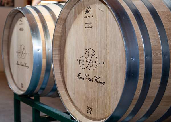 20.7 Acres of Improved Land for Sale in Gouldsboro, Maine