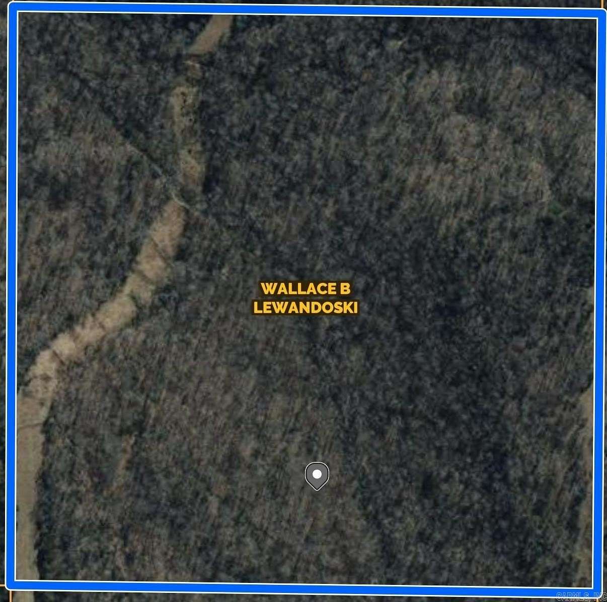 40 Acres of Recreational Land for Sale in Clinton, Arkansas