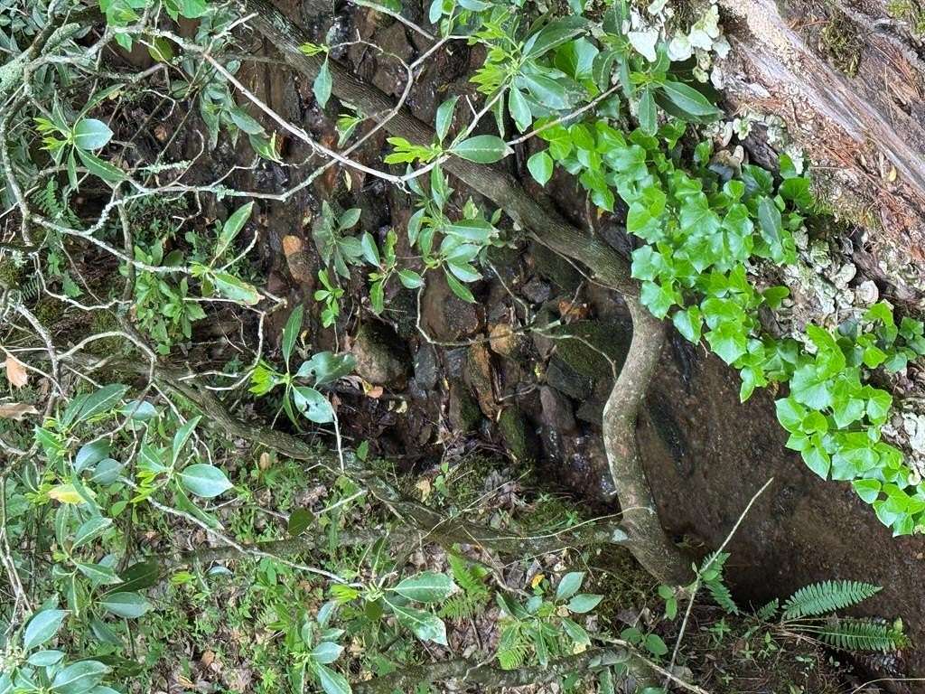 0.44 Acres of Residential Land for Sale in Franklin, North Carolina