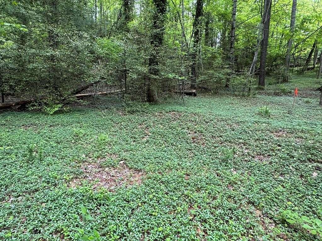 0.44 Acres of Residential Land for Sale in Franklin, North Carolina