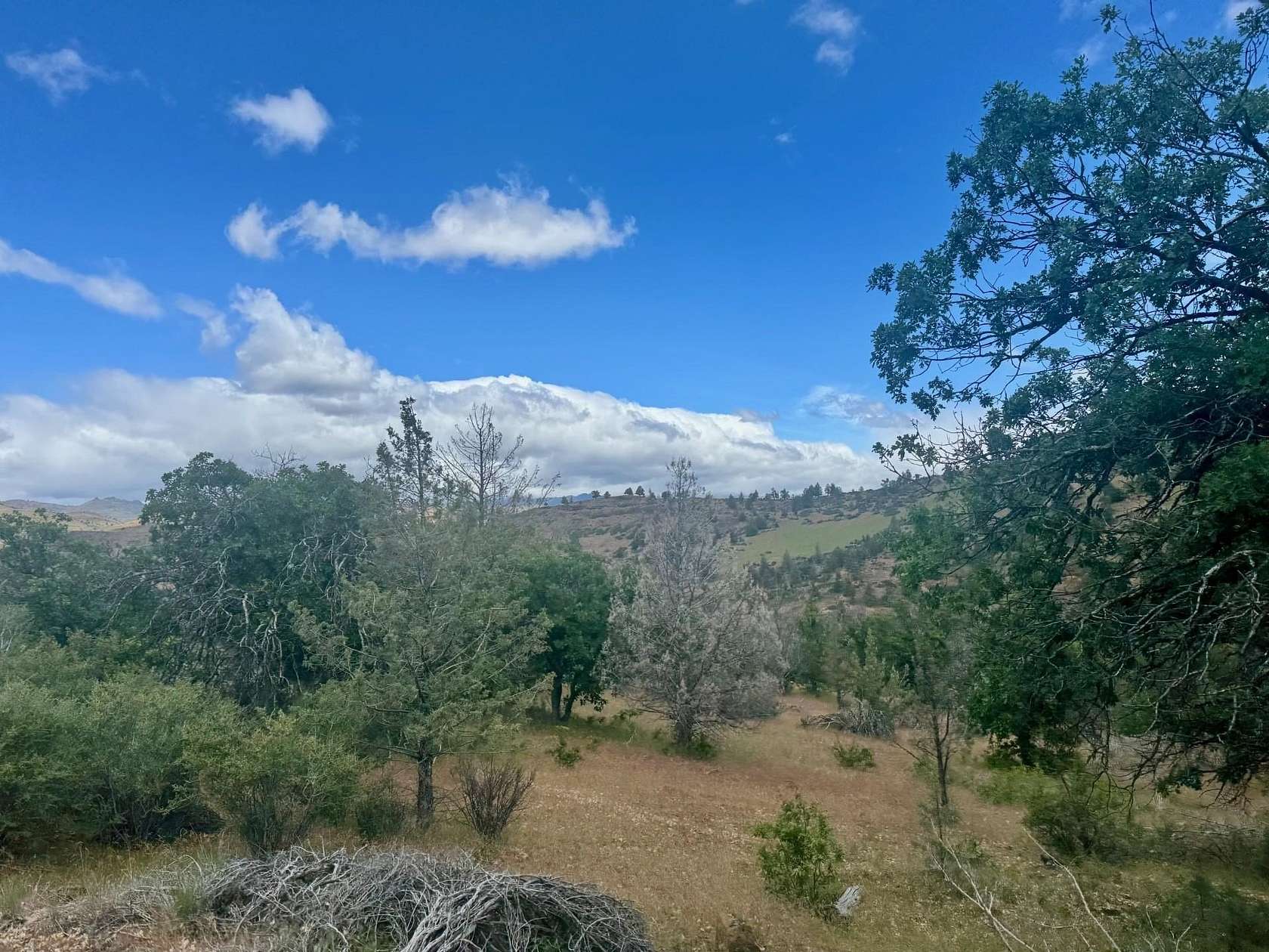 16 Acres of Land for Sale in Hornbrook, California