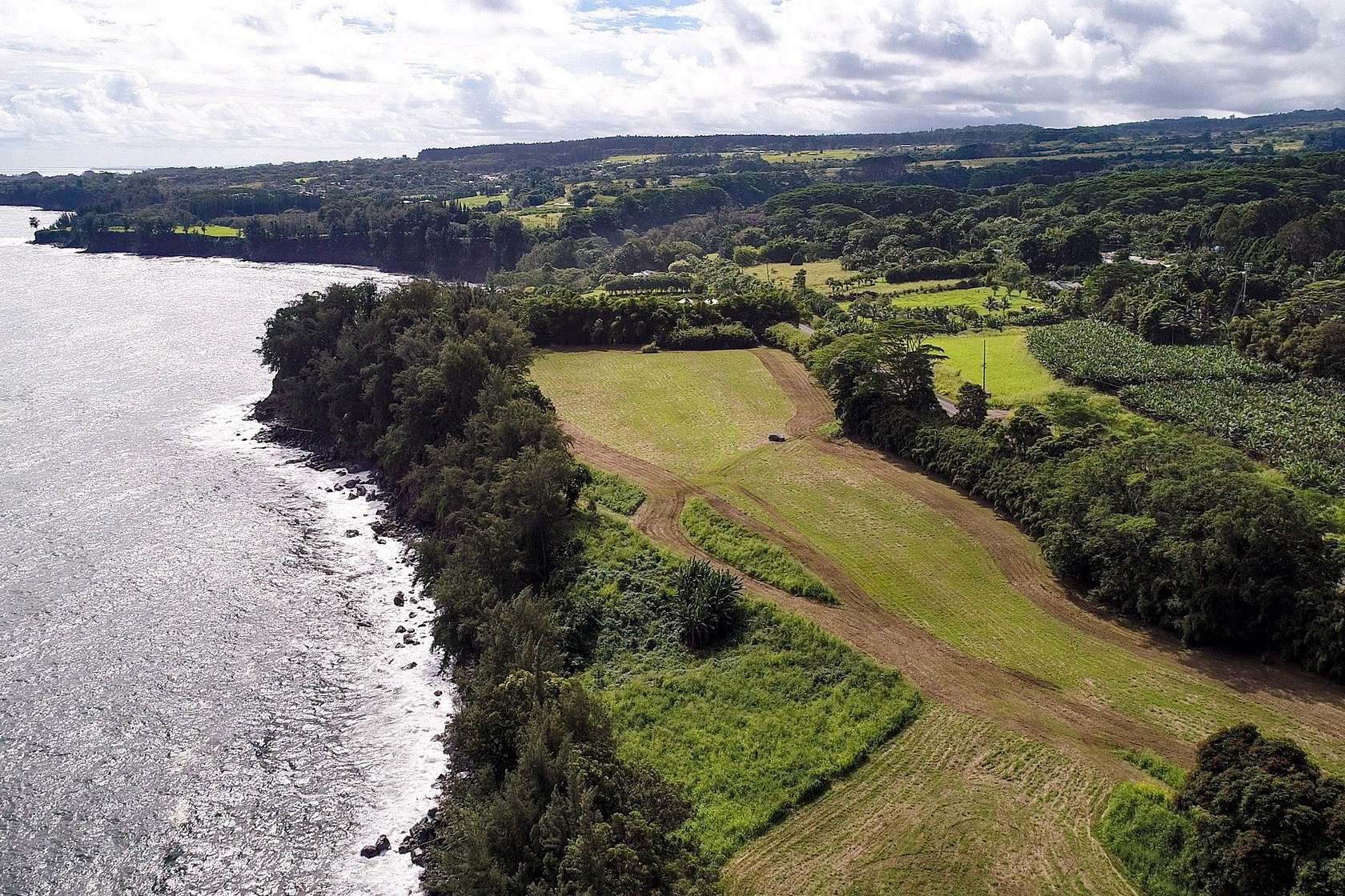 31.1 Acres of Land for Sale in Hakalau, Hawaii