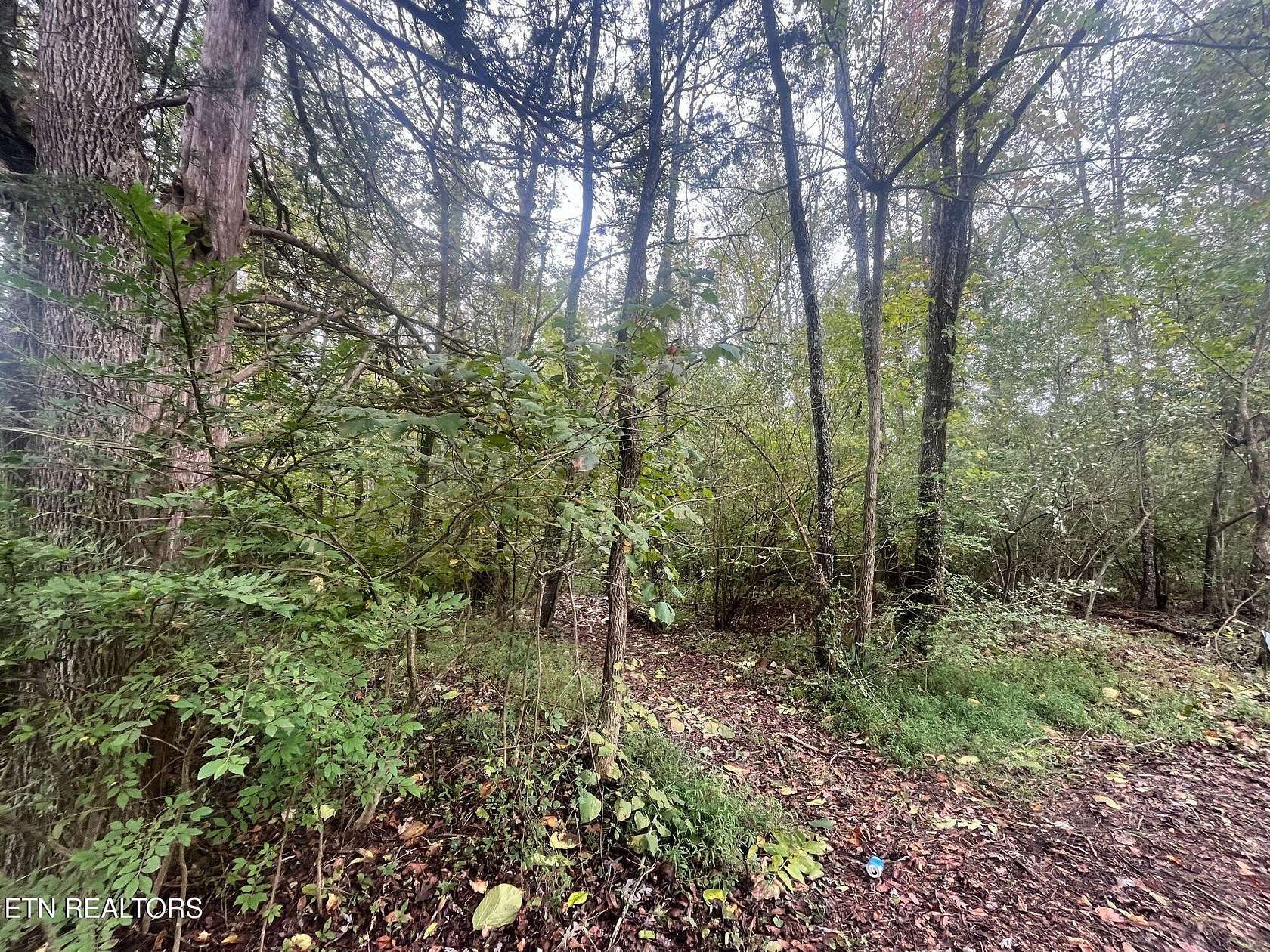 6.3 Acres of Residential Land for Sale in Oneida, Tennessee