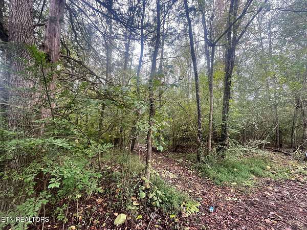 6.3 Acres of Residential Land for Sale in Oneida, Tennessee