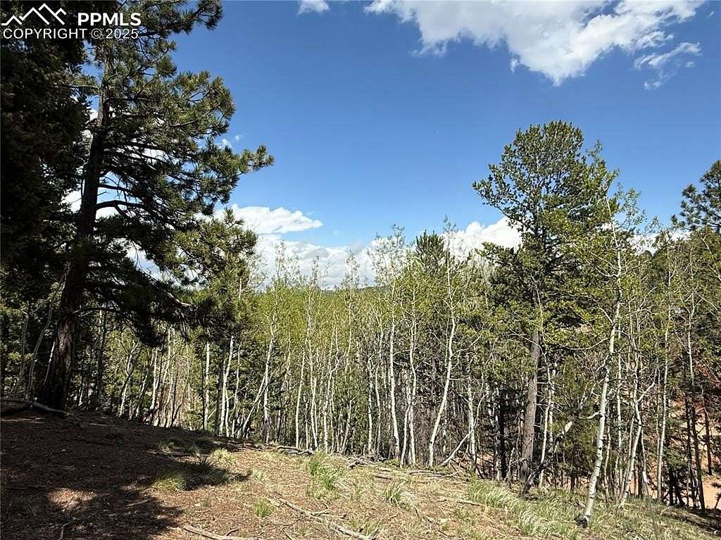 0.51 Acres of Land for Sale in Woodland Park, Colorado