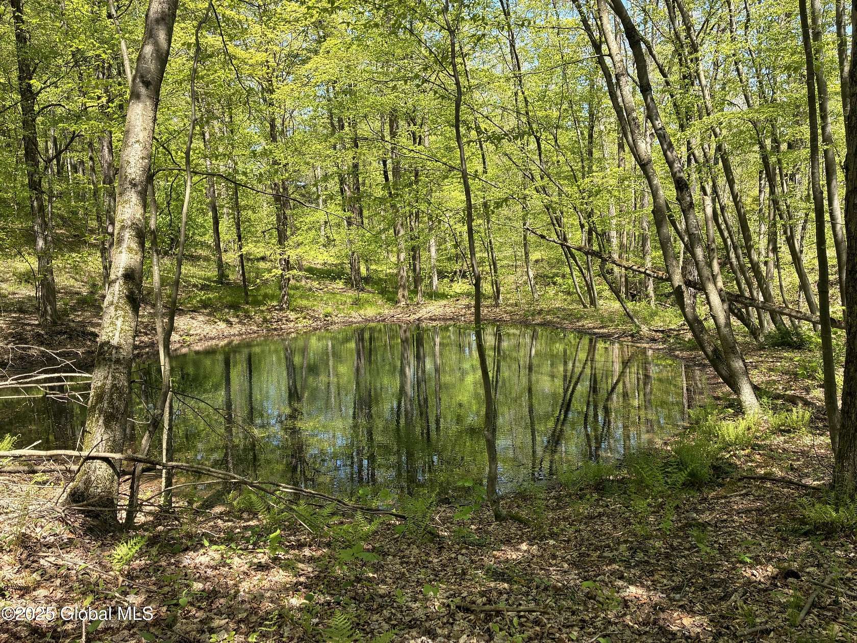 60.1 Acres of Recreational Land for Sale in Canaan, New York