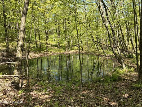 60.1 Acres of Recreational Land for Sale in Canaan, New York