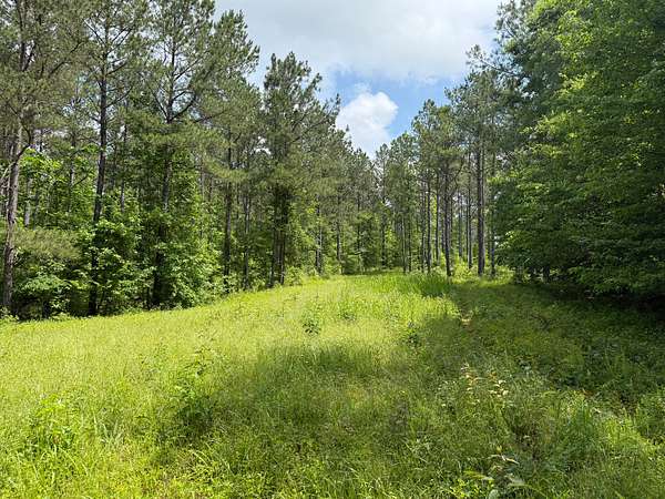 320 Acres of Recreational Land for Sale in Equality, Alabama