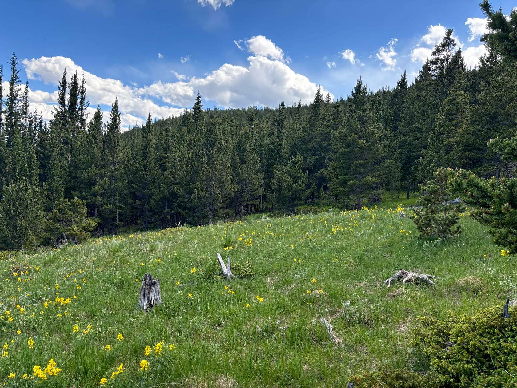 41.2 Acres of Recreational Land for Sale in Idaho Springs, Colorado