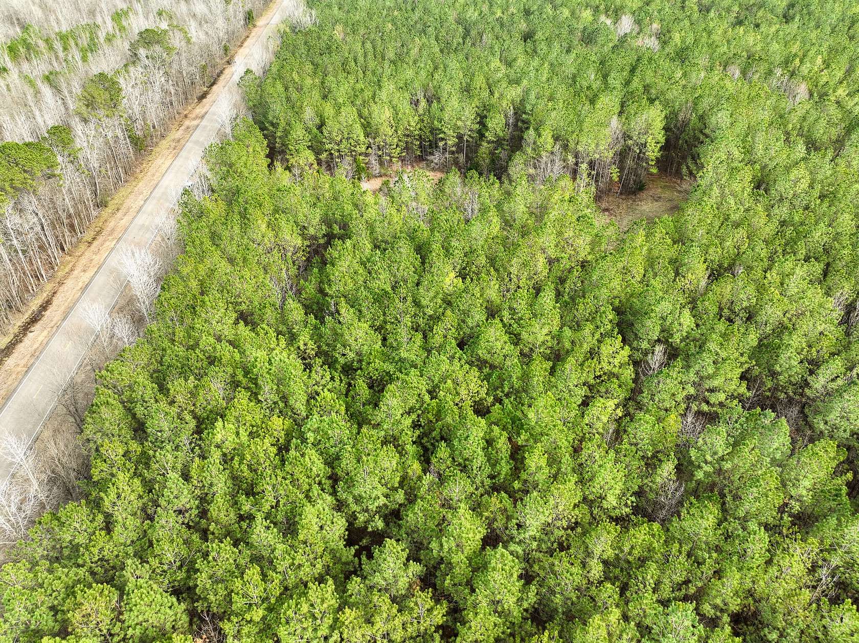 10 Acres of Recreational Land for Sale in Mathews, Alabama