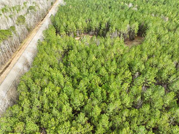 10 Acres of Recreational Land for Sale in Mathews, Alabama