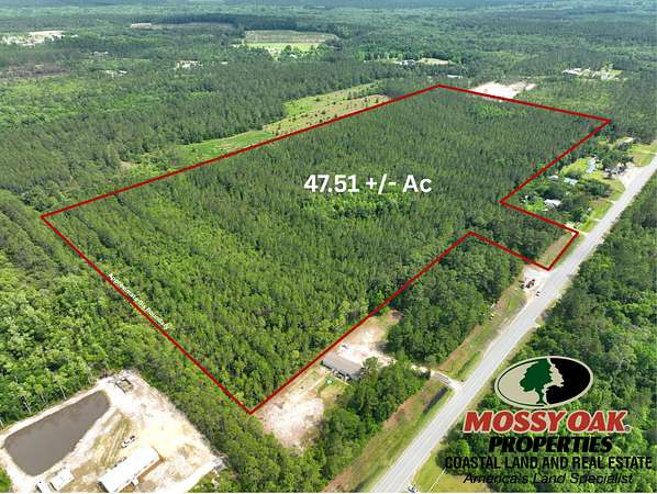 47.5 Acres of Recreational Land for Sale in Jesup, Georgia