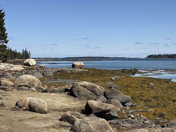 22 Acres of Recreational Land for Sale in Swans Island, Maine