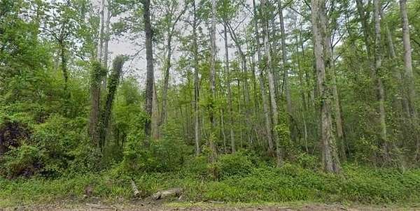 13.2 Acres of Land for Sale in Ponchatoula, Louisiana