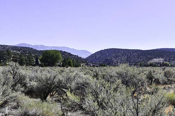 10.5 Acres of Land for Sale in Gardnerville, Nevada