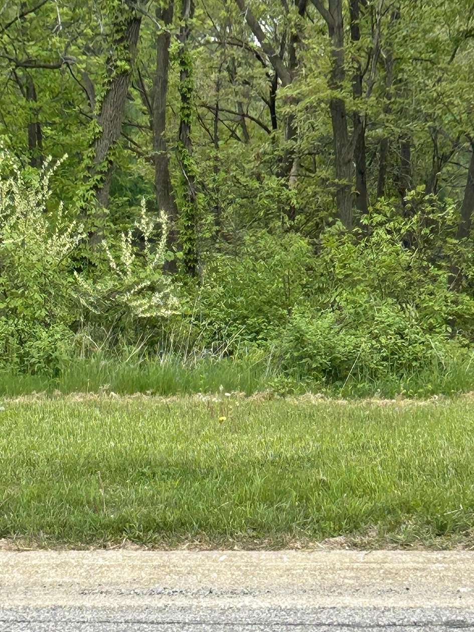 0.38 Acres of Residential Land for Sale in Crown Point, Indiana