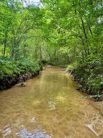 40.4 Acres of Recreational & Residential Land for Sale in Louisville, Mississippi