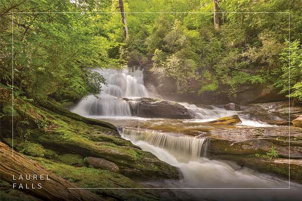 17.8 Acres of Land for Sale in Glenville, North Carolina
