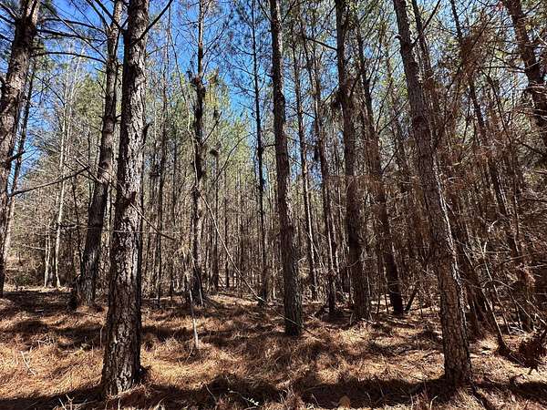 18 Acres of Recreational Land for Sale in Ethel, Mississippi