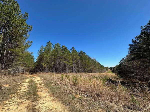 105 Acres of Recreational Land for Sale in Ethel, Mississippi