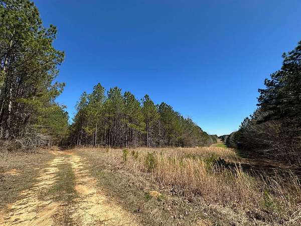105 Acres of Recreational Land for Sale in Ethel, Mississippi