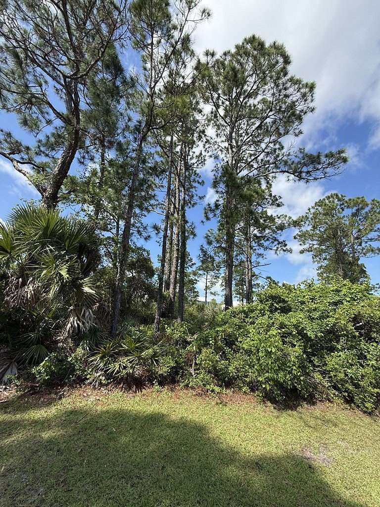 0.26 Acres of Residential Land for Sale in Port St. Joe, Florida