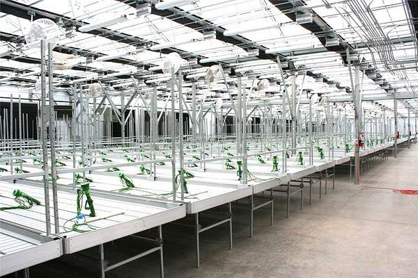 39.7 Acres of Improved Commercial Land for Sale in Holcombe, Wisconsin