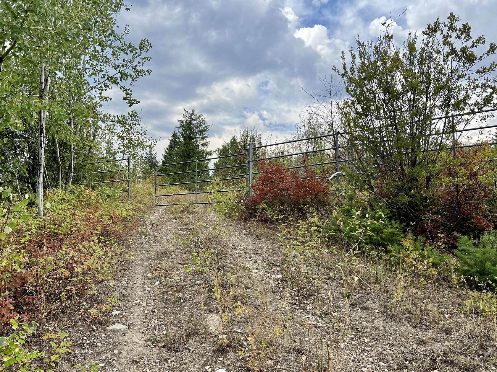 20 Acres of Recreational Land for Sale in Kettle Falls, Washington