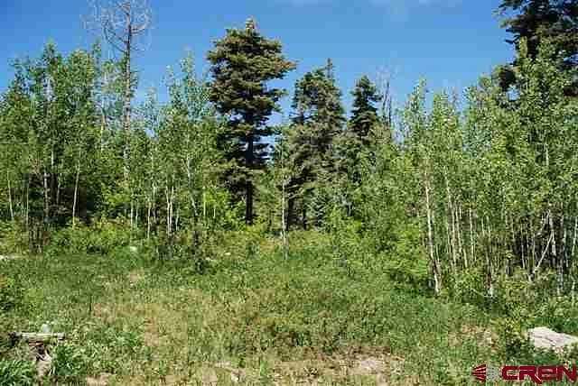 35 Acres of Land for Sale in Pagosa Springs, Colorado