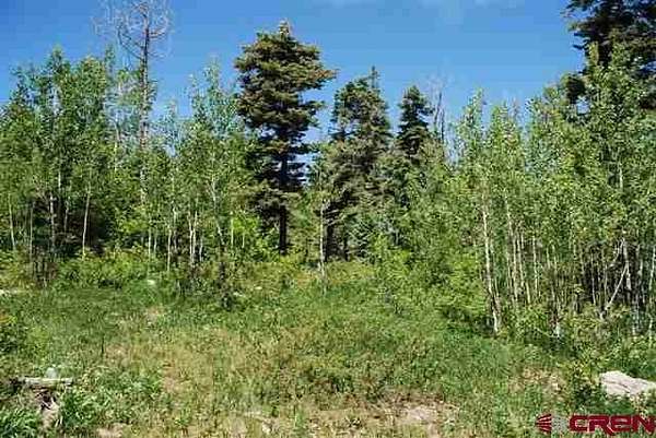 35 Acres of Land for Sale in Pagosa Springs, Colorado