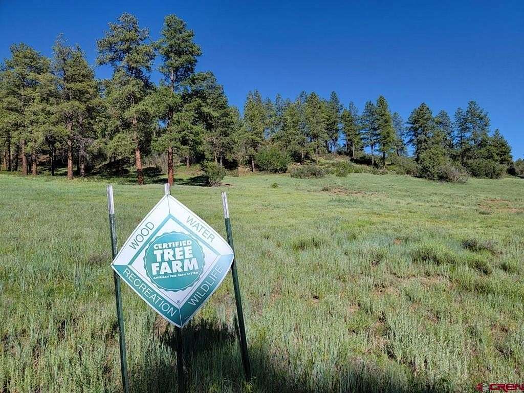 28 Acres of Land for Sale in Pagosa Springs, Colorado