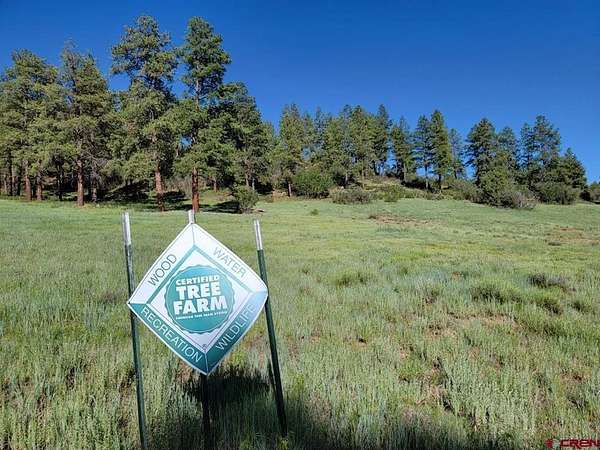 28 Acres of Land for Sale in Pagosa Springs, Colorado