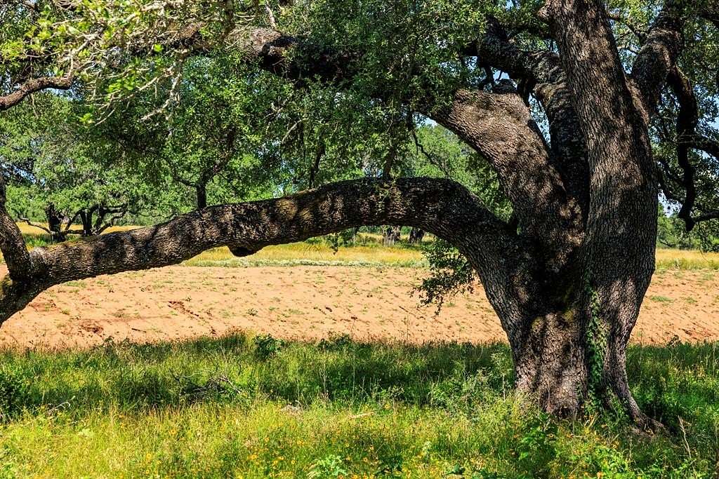 23.1 Acres of Land for Sale in Llano, Texas