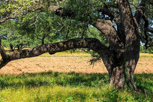 23.1 Acres of Land for Sale in Llano, Texas