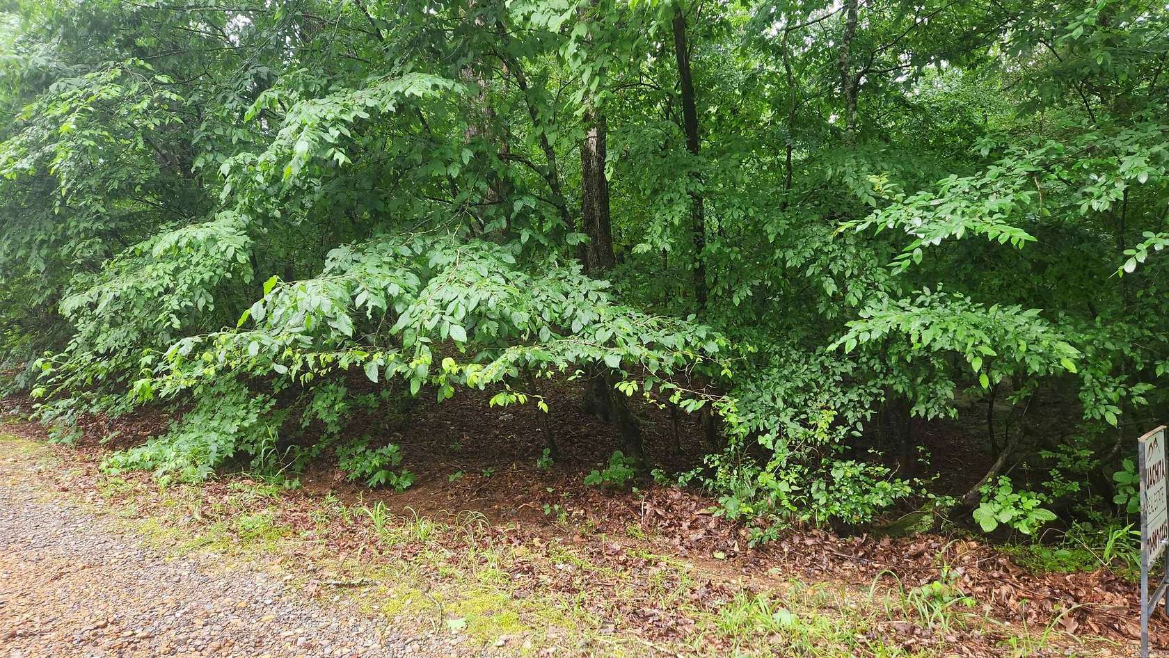 0.26 Acres of Residential Land for Sale in Sims, Arkansas