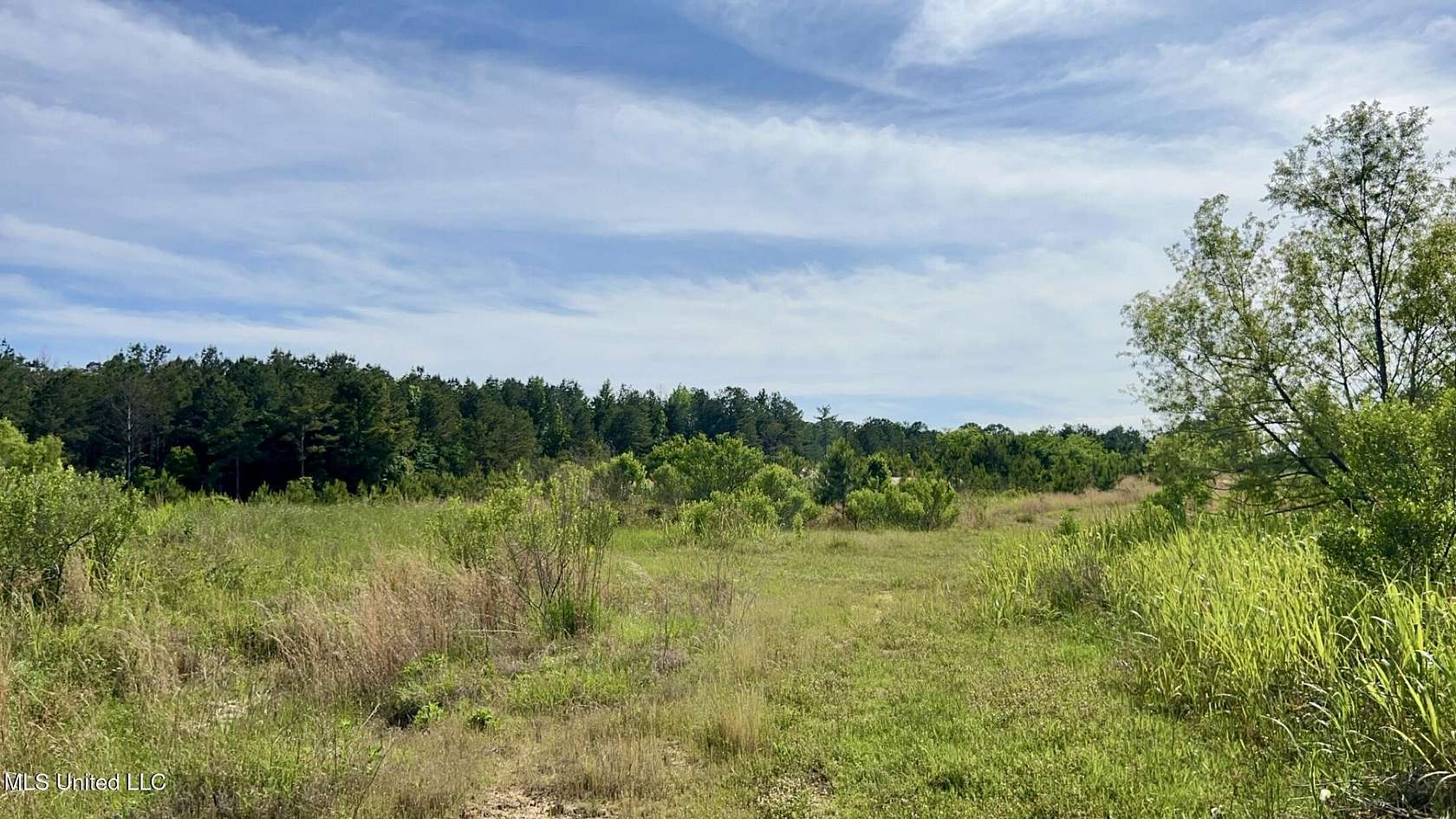 420 Acres of Recreational Land for Sale in Jackson, Mississippi