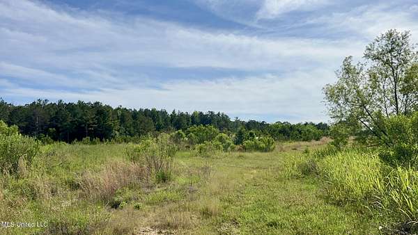420 Acres of Recreational Land for Sale in Jackson, Mississippi