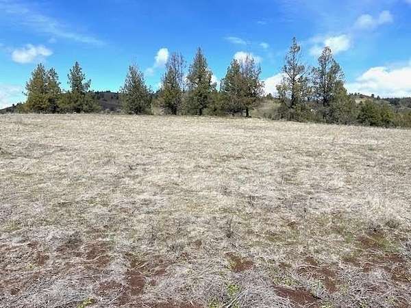 4.6 Acres of Residential Land for Sale in Montague, California