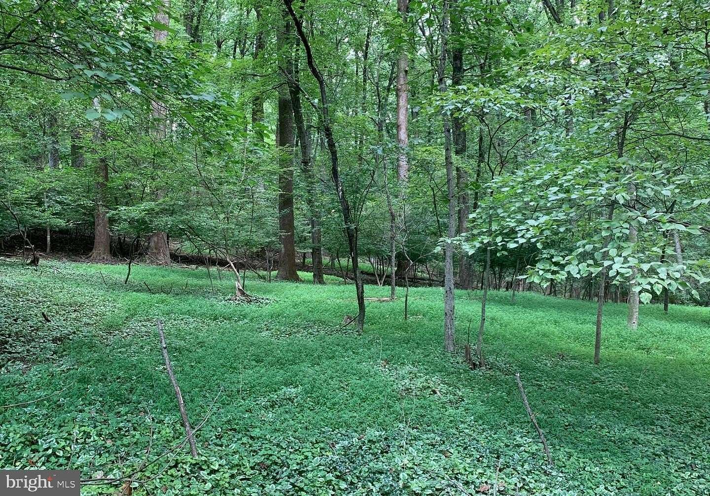 1.15 Acres of Residential Land for Sale in Silver Spring, Maryland