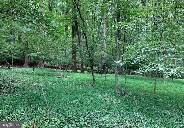 1.15 Acres of Residential Land for Sale in Silver Spring, Maryland