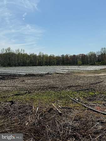 56.4 Acres of Agricultural Land with Home for Sale in Southampton Township, New Jersey