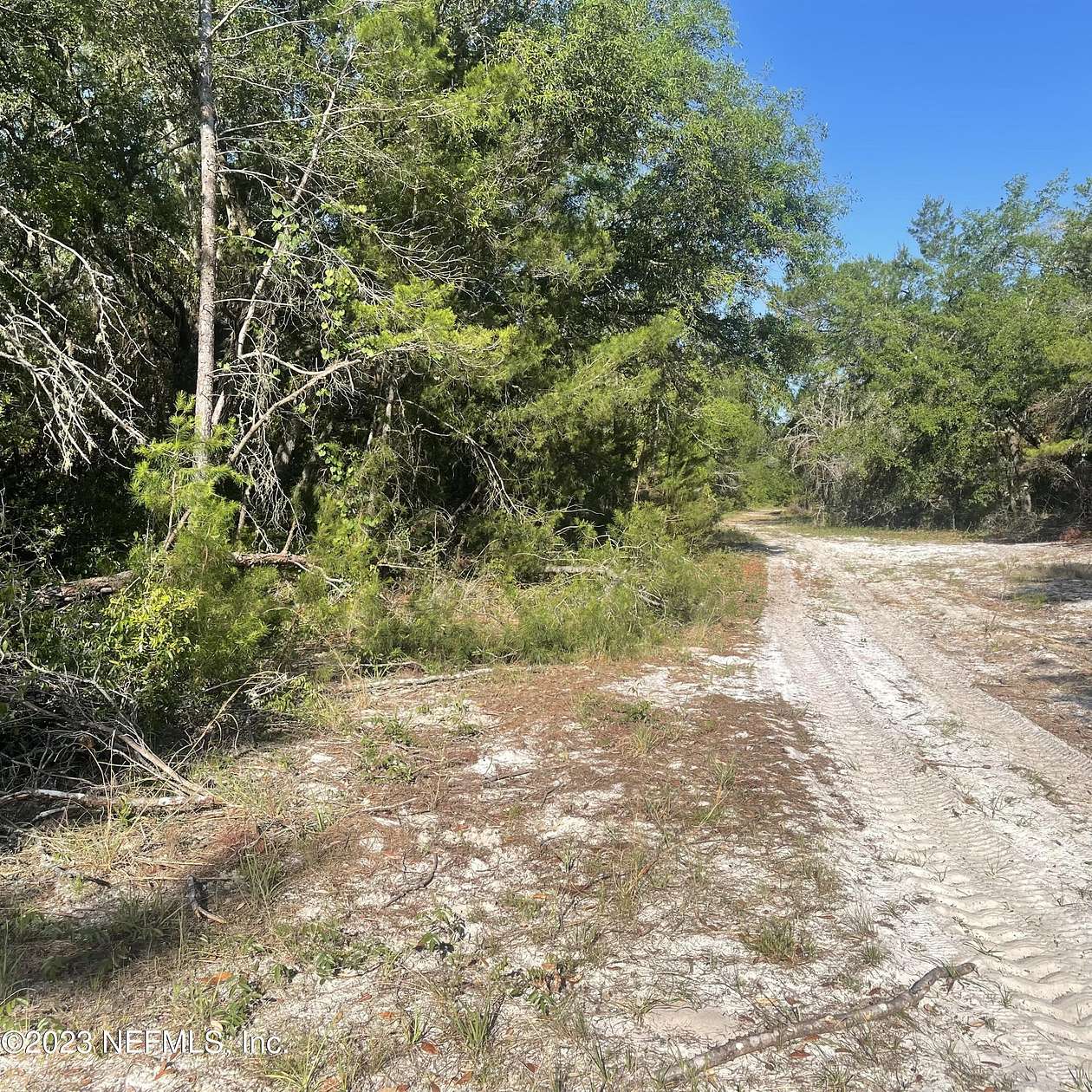 7.3 Acres of Land for Sale in Florahome, Florida