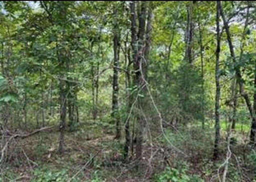0.26 Acres of Land for Sale in Crossville, Tennessee