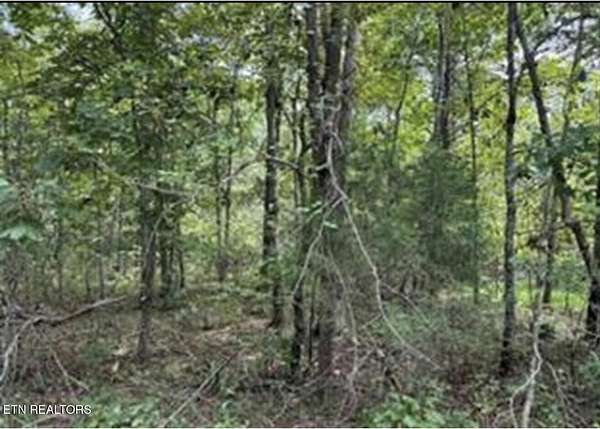 0.26 Acres of Residential Land for Sale in Crossville, Tennessee